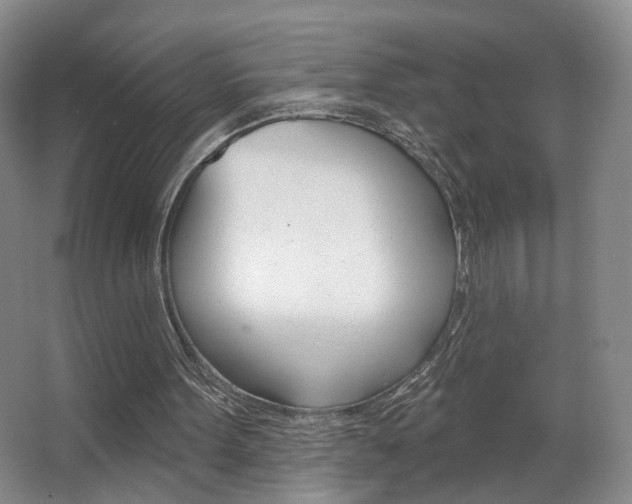X0000067370099200603311005