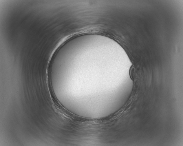 X0000067370100200603311005