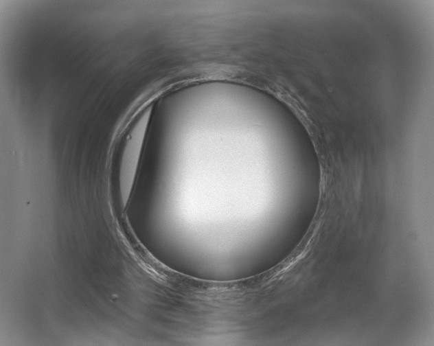 X0000067370101200603311005