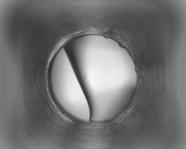 X0000067370102200603311005
