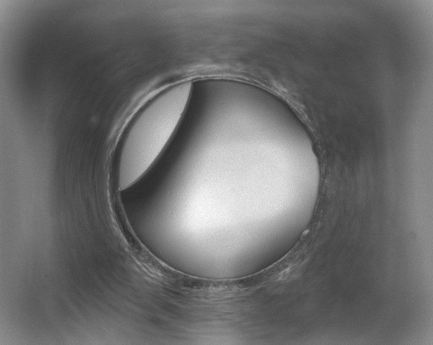 X0000067370103200603311005