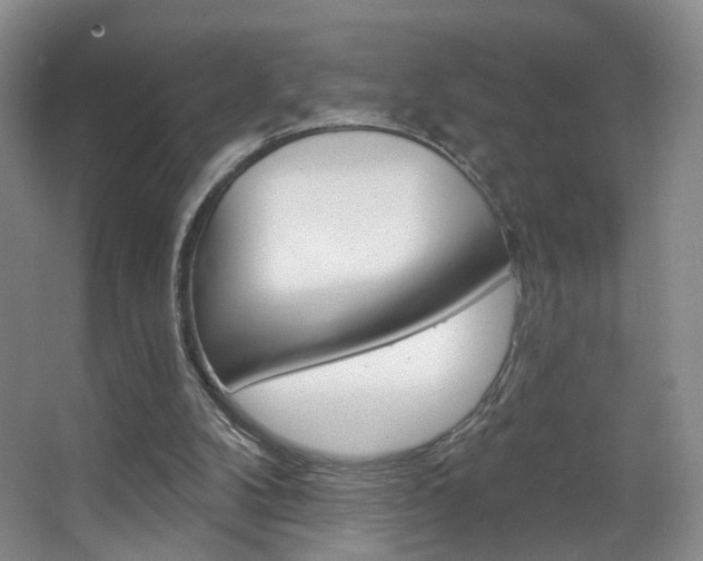 X0000067370104200603311005