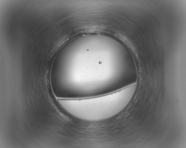 X0000067370105200603311005