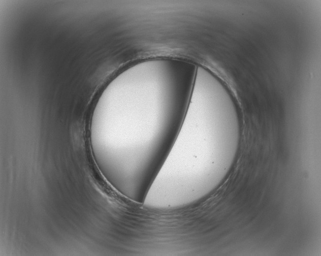 X0000067370107200603311005