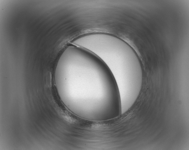 X0000067370109200603311005