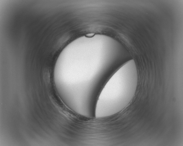 X0000067370120200603311004
