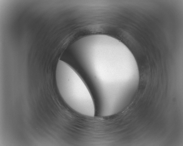 X0000067370124200603311004