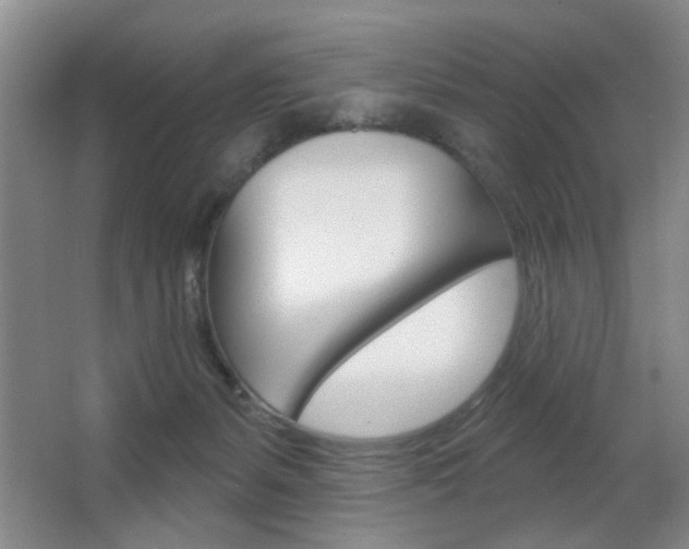 X0000067370127200603311004