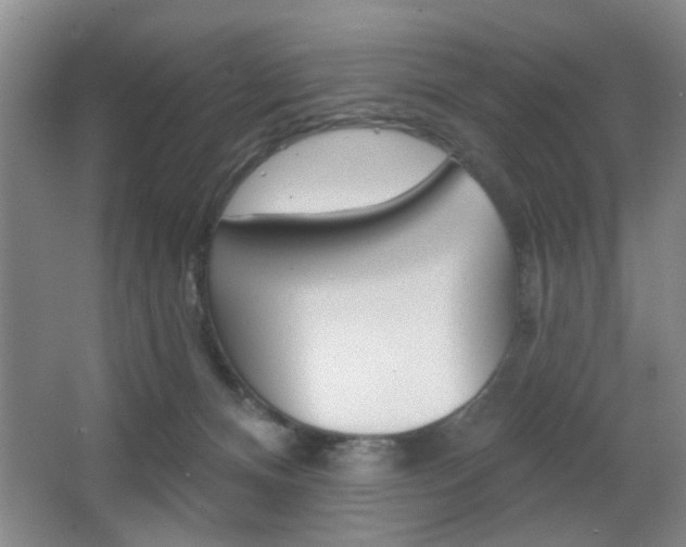 X0000067370128200603311004