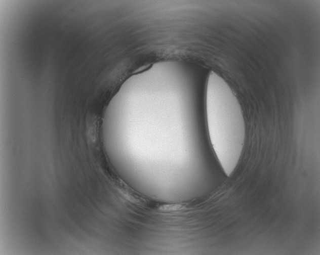X0000067370133200603311004