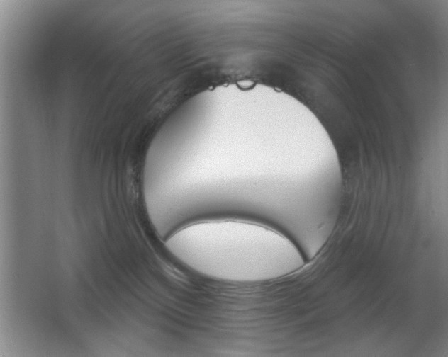 X0000067370136200603311004