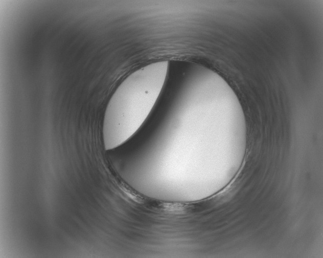 X0000067370144200603311004