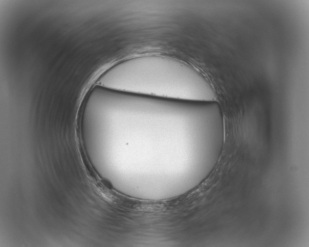 X0000067370147200603311003