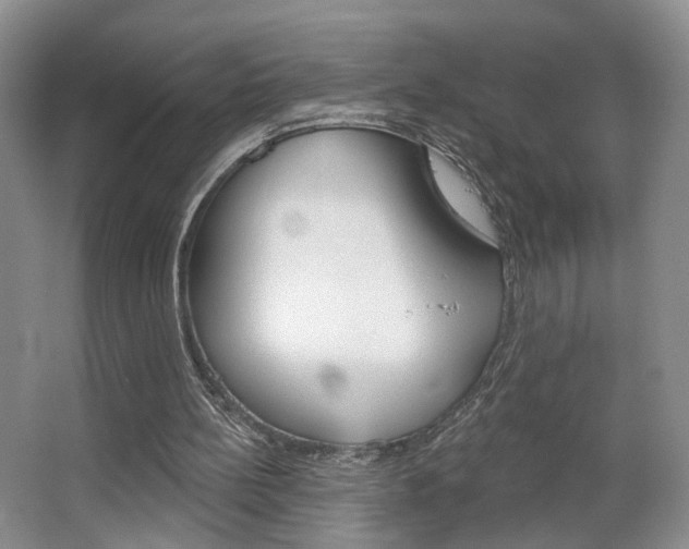 X0000067370148200603311003