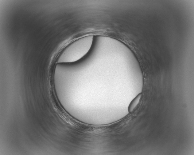 X0000067370149200603311003