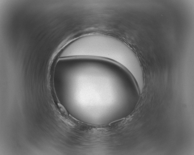 X0000067370150200603311003