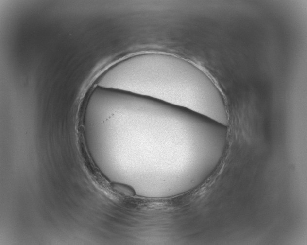 X0000067370151200603311003