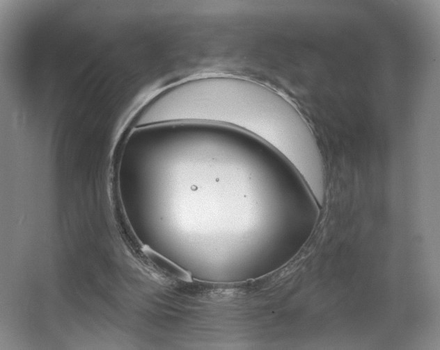 X0000067370152200603311003