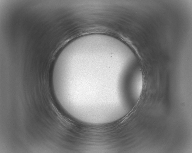 X0000067370154200603311003