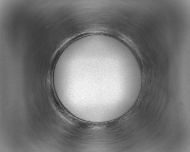 X0000067370155200603311003