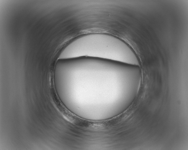X0000067370157200603311003