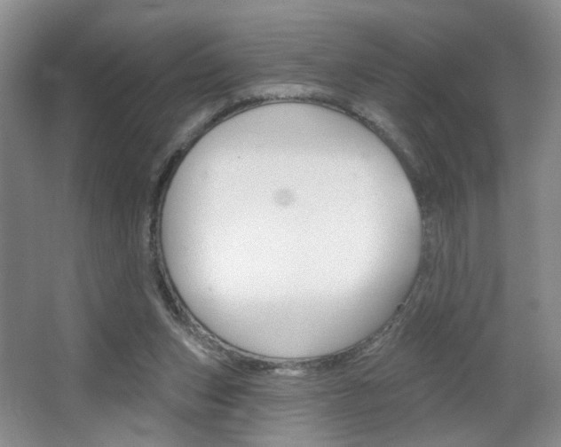 X0000067370159200603311003