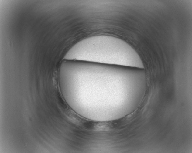 X0000067370175200603311004