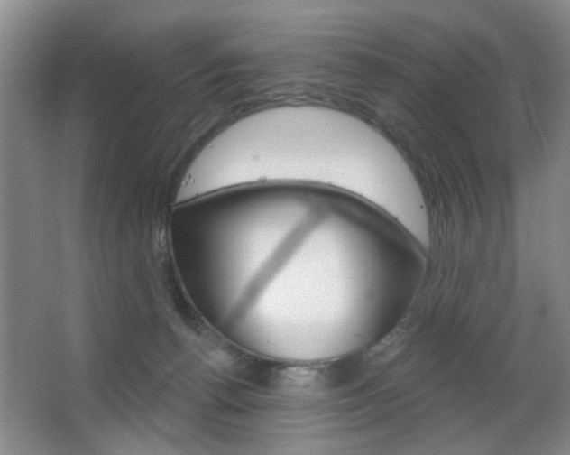 X0000067370176200603311004