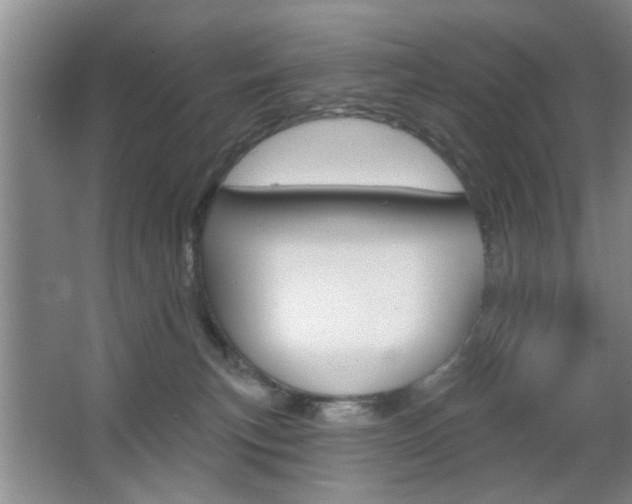X0000067370183200603311004