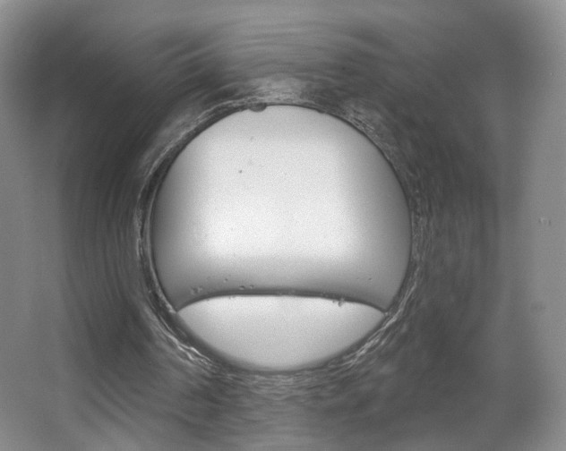 X0000067370194200603311003