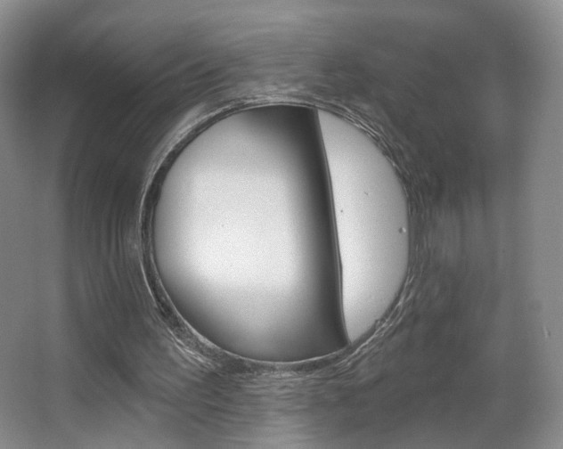 X0000067370195200603311003