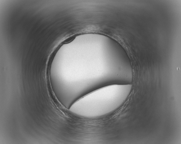 X0000067370196200603311003
