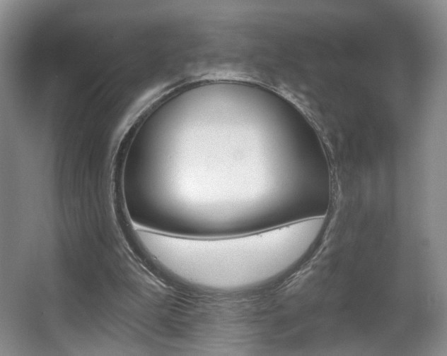 X0000067370199200603311003