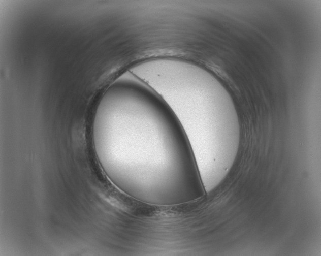 X0000067370207200603311003