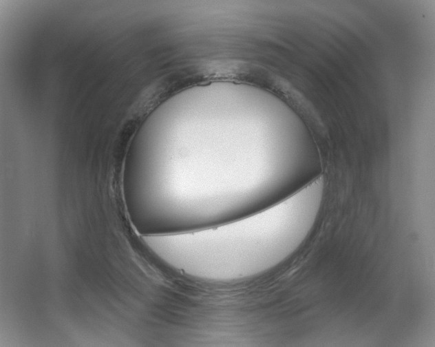 X0000067370209200603311003