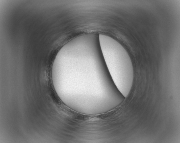 X0000067370210200603311003