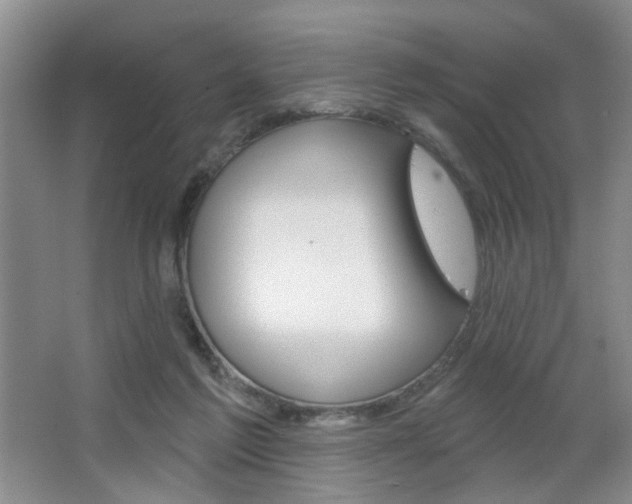 X0000067370213200603311003