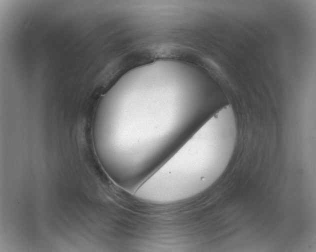 X0000067370217200603311003