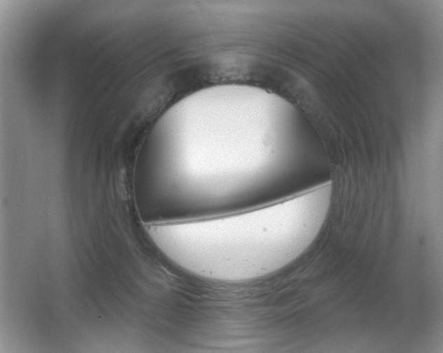 X0000067370224200603311003