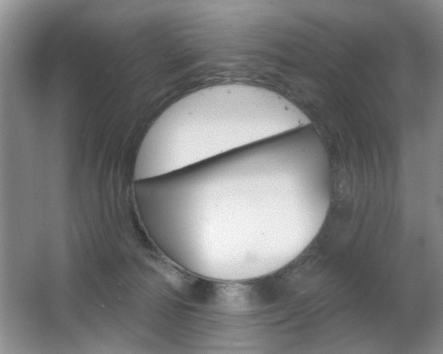 X0000067370226200603311003