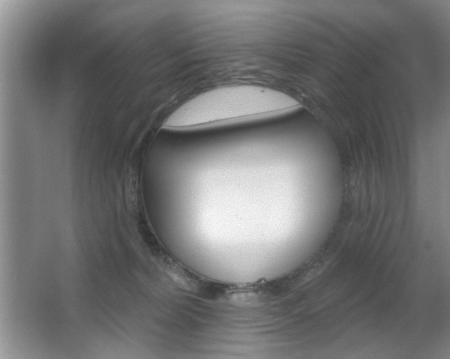 X0000067370228200603311003