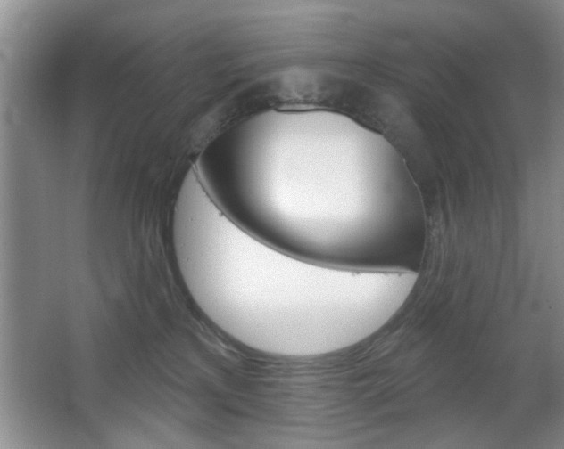 X0000067370233200603311002