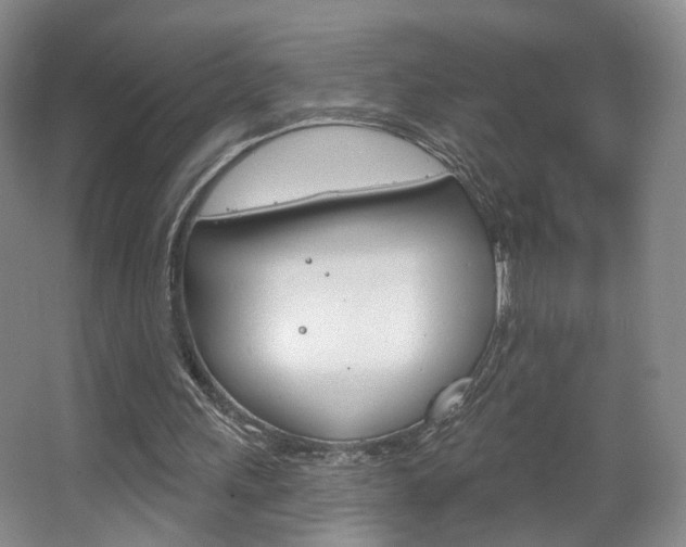 X0000067370243200603311002