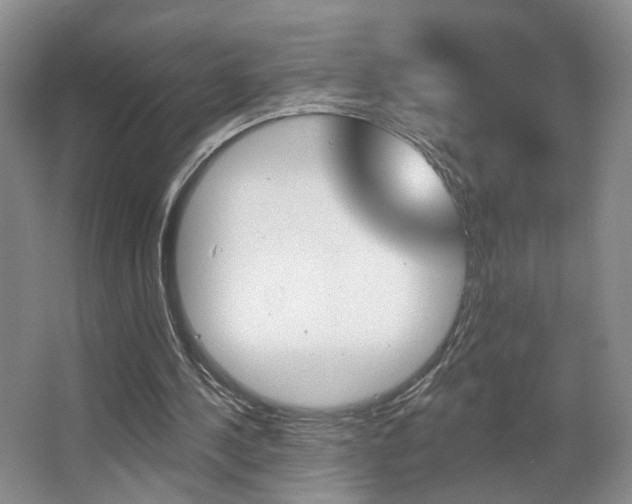 X0000067370244200603311002