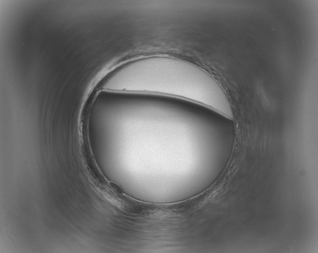 X0000067370246200603311002