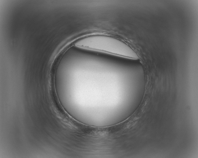 X0000067370247200603311002