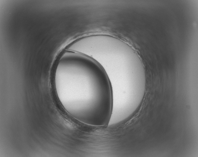 X0000067370248200603311002