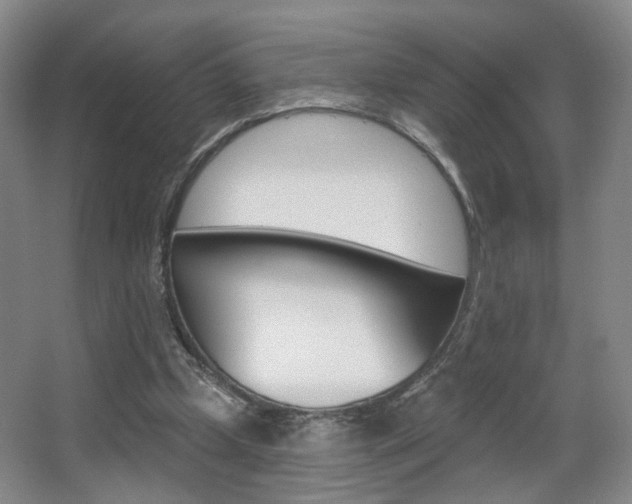 X0000067370249200603311002