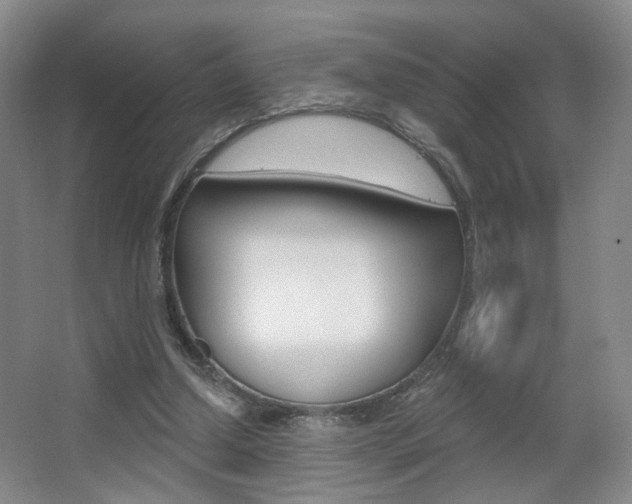 X0000067370250200603311002