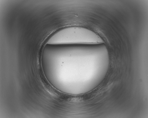 X0000067370251200603311002